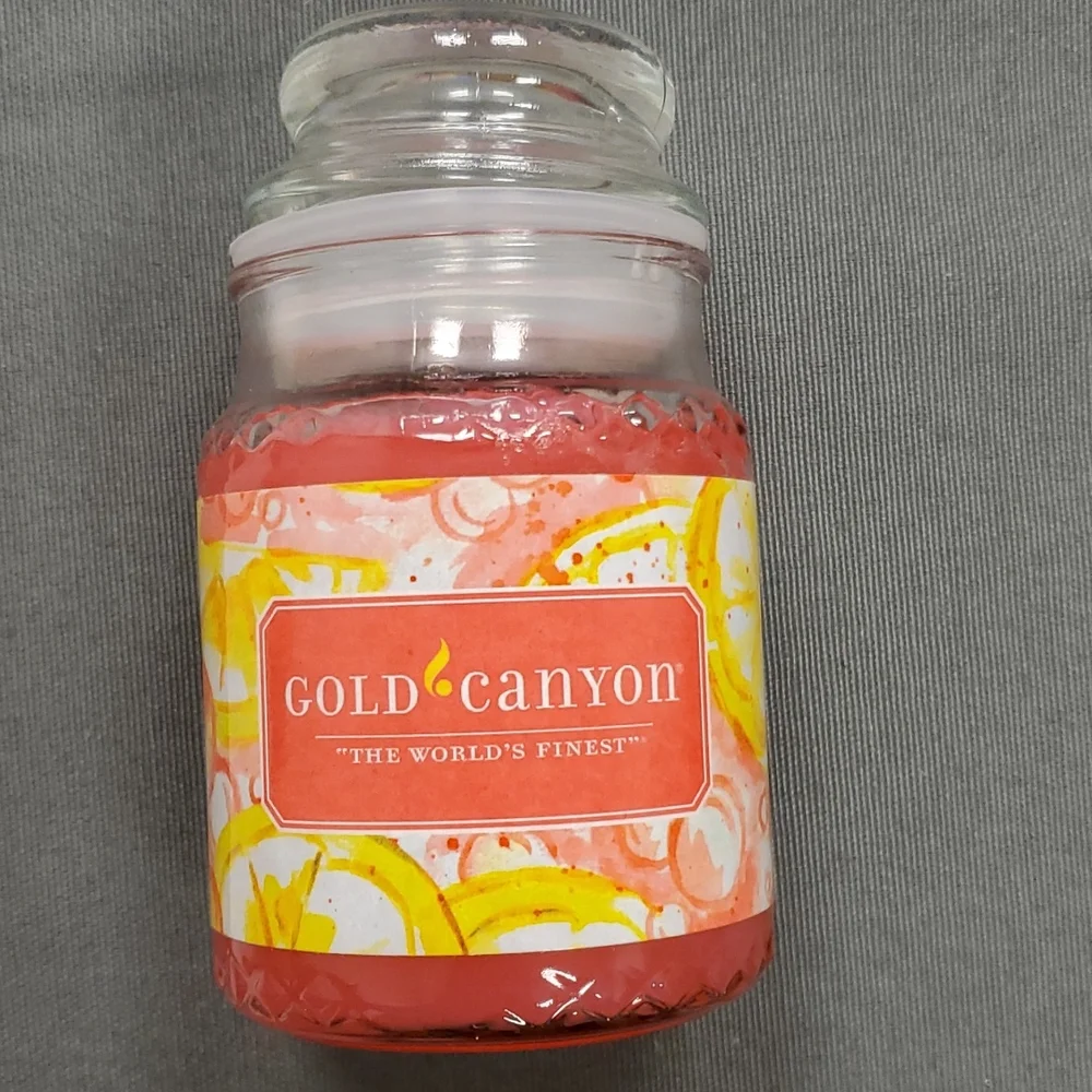 PINK LEMONADE SPRITZER Gold Canyon 5 oz/mini candle‎